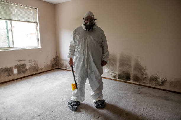 Best Certified Mold Removal  in San Leon, TX